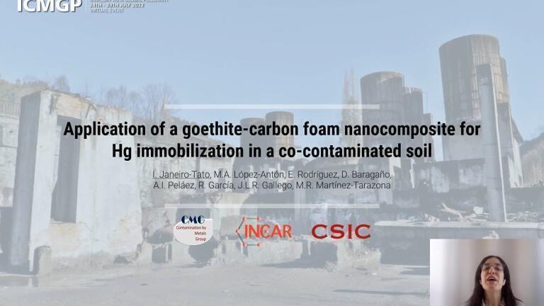Application of a goethite-carbon foam nanocomposite for Hg immobilization in a co-contaminated soil